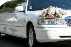 Limo