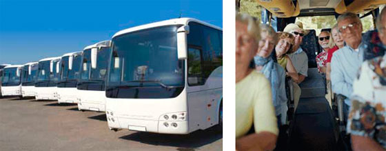 Mini Bus